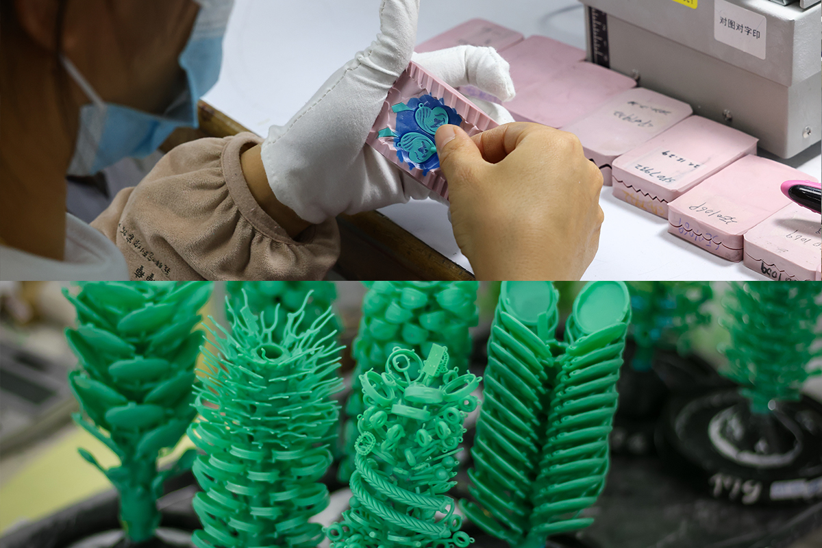 معرض ألبينا 5