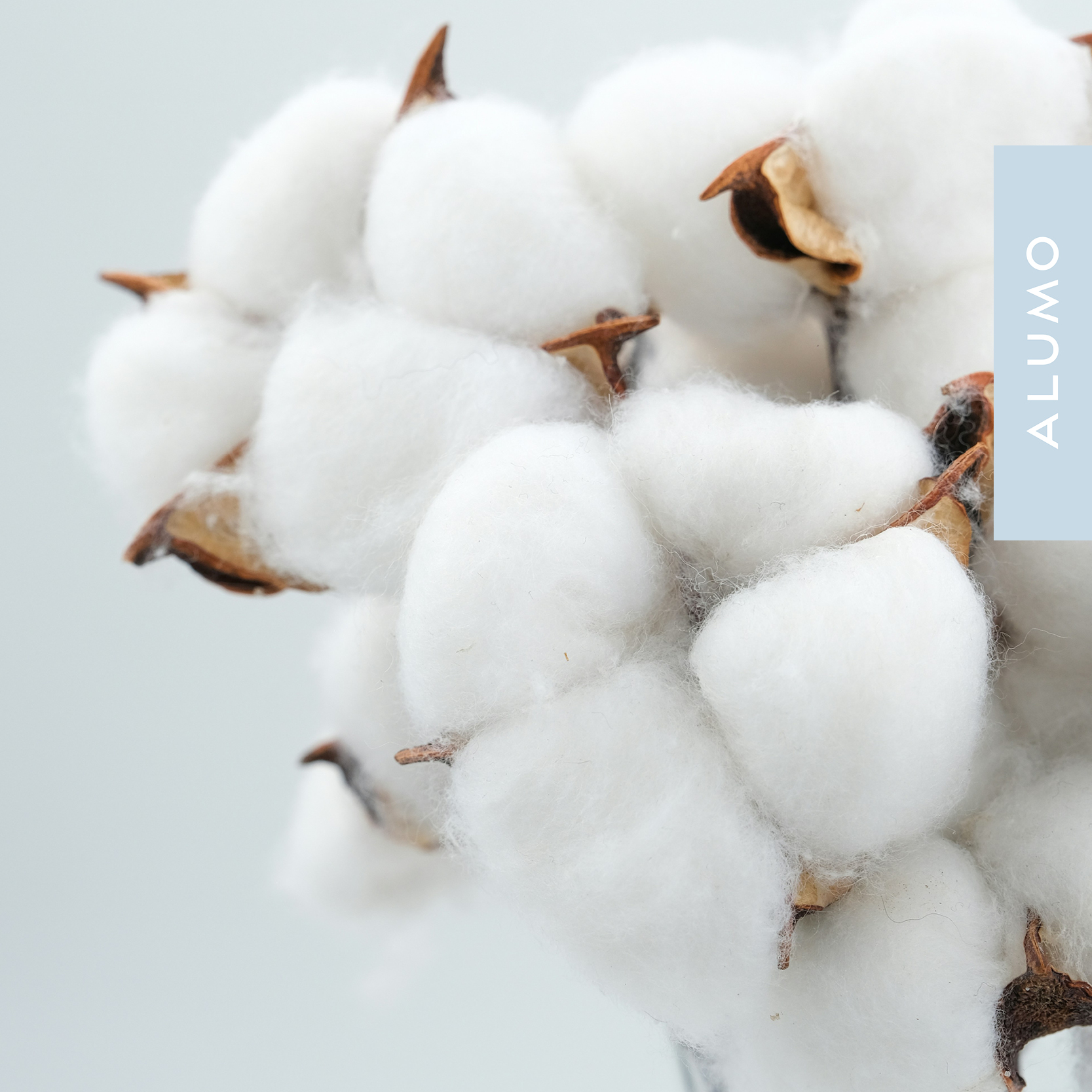 Swiss weaving and finishing